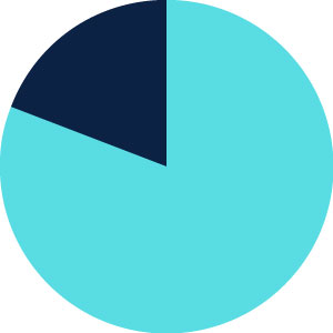 81%