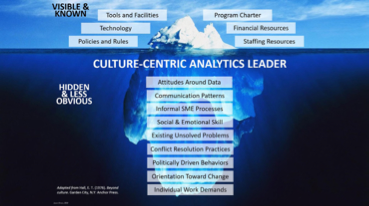 Culture Centric Analytics Leader