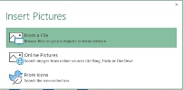 Select Insert Pictures From a File.