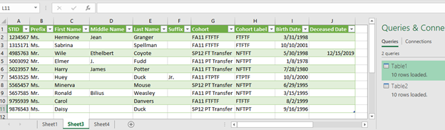 Figure 12. Excel Spreadsheet after Power Query Merge